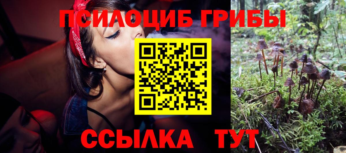 Галлюциногенные грибы GOLDEN TEACHER Димитровград