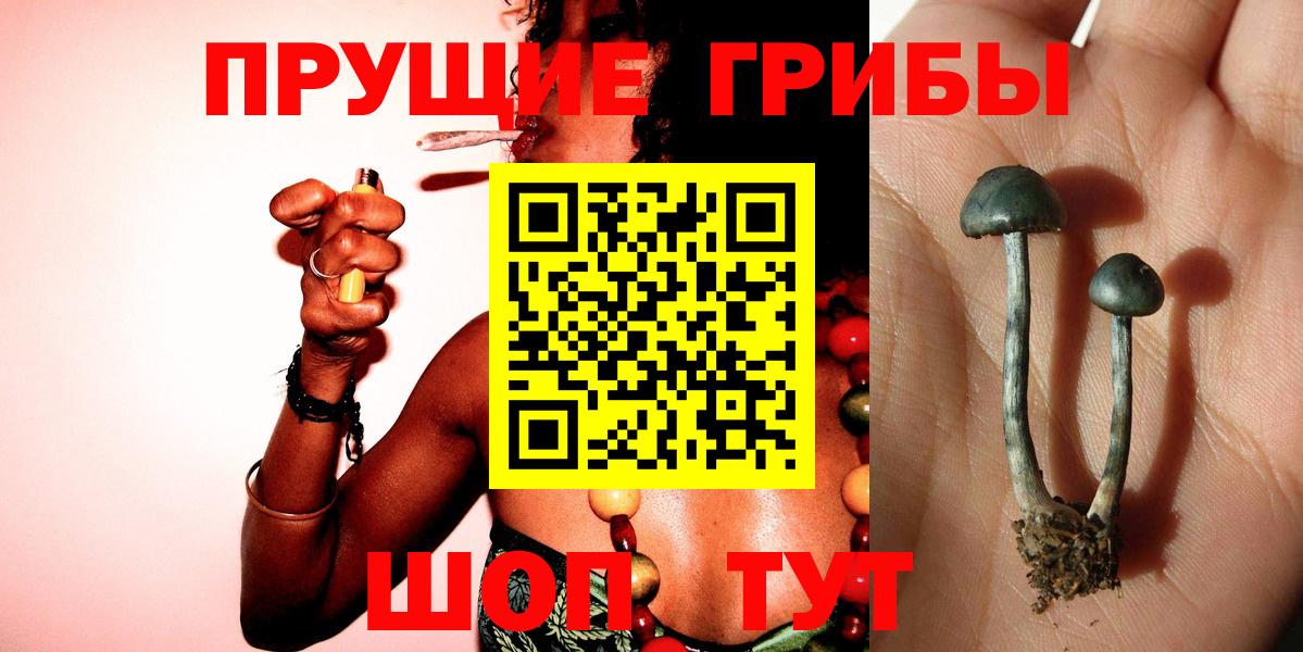 Димитровград  Псилоцибиновые грибы MAGIC MUSHROOMS  Вход с VPN  Галлюциногенные грибы MAGIC MUSHROOMS 